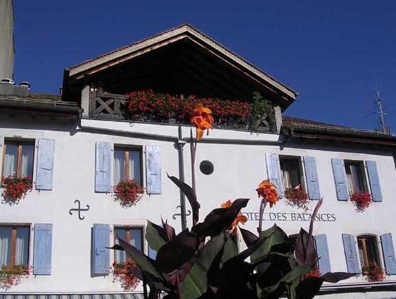 Hotel Des Balances Versoix Bagian luar foto